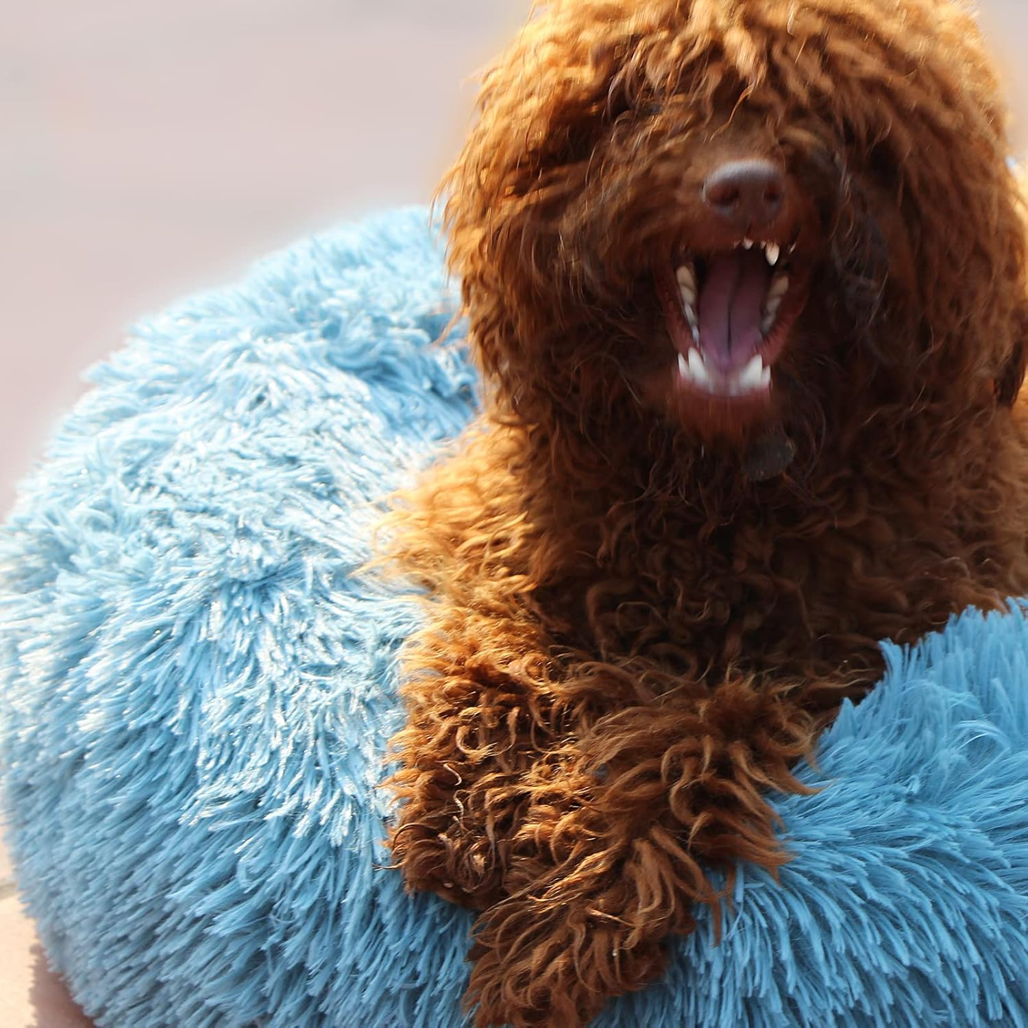 Rajah’s Cozy Donut Bed - Image 7