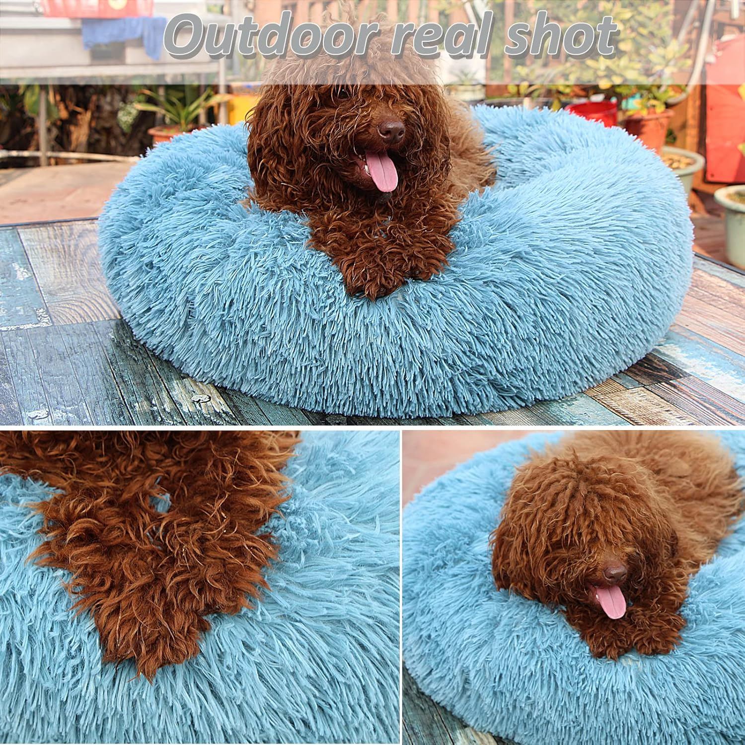 Rajah’s Cozy Donut Bed - Image 5