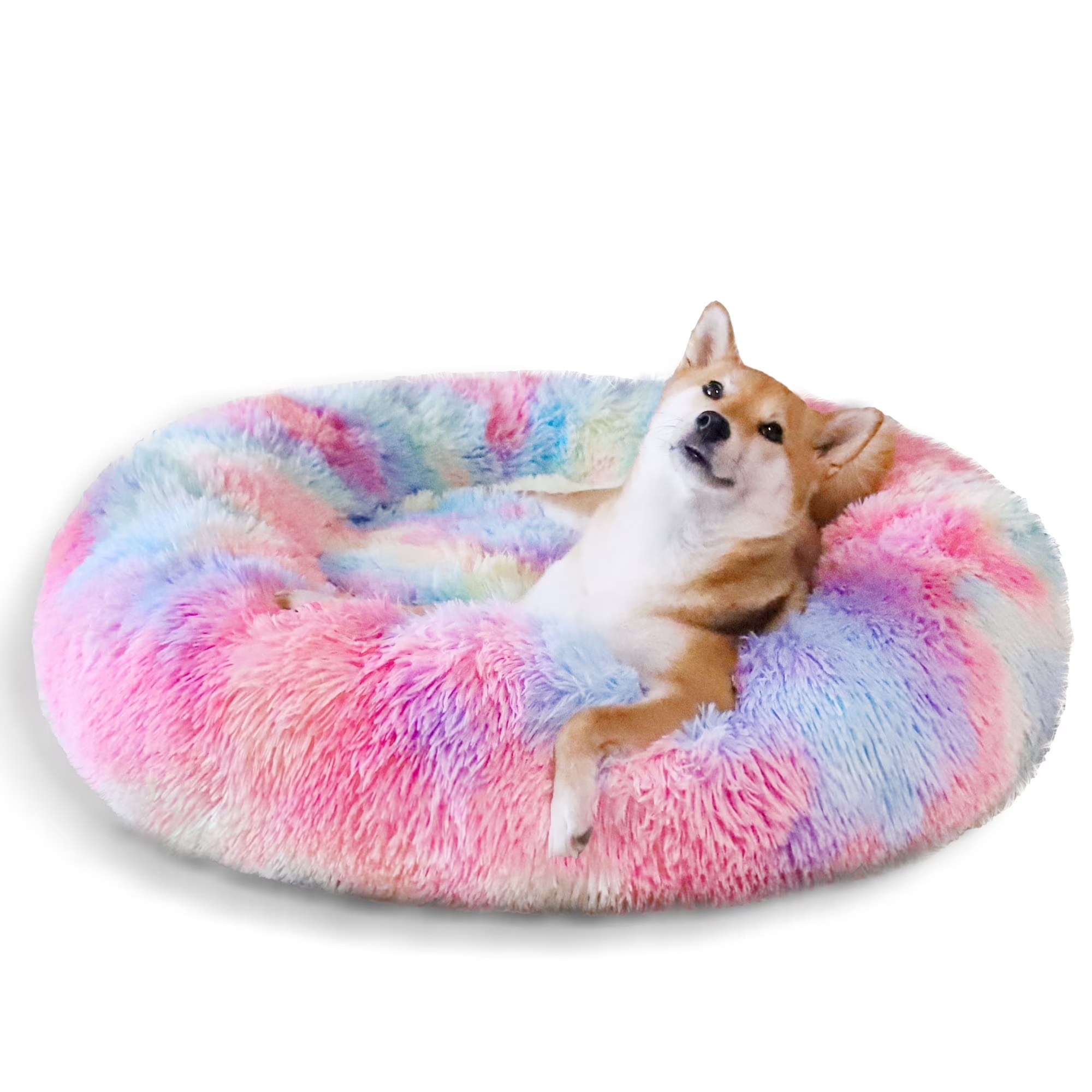 Rajah’s Cozy Donut Bed