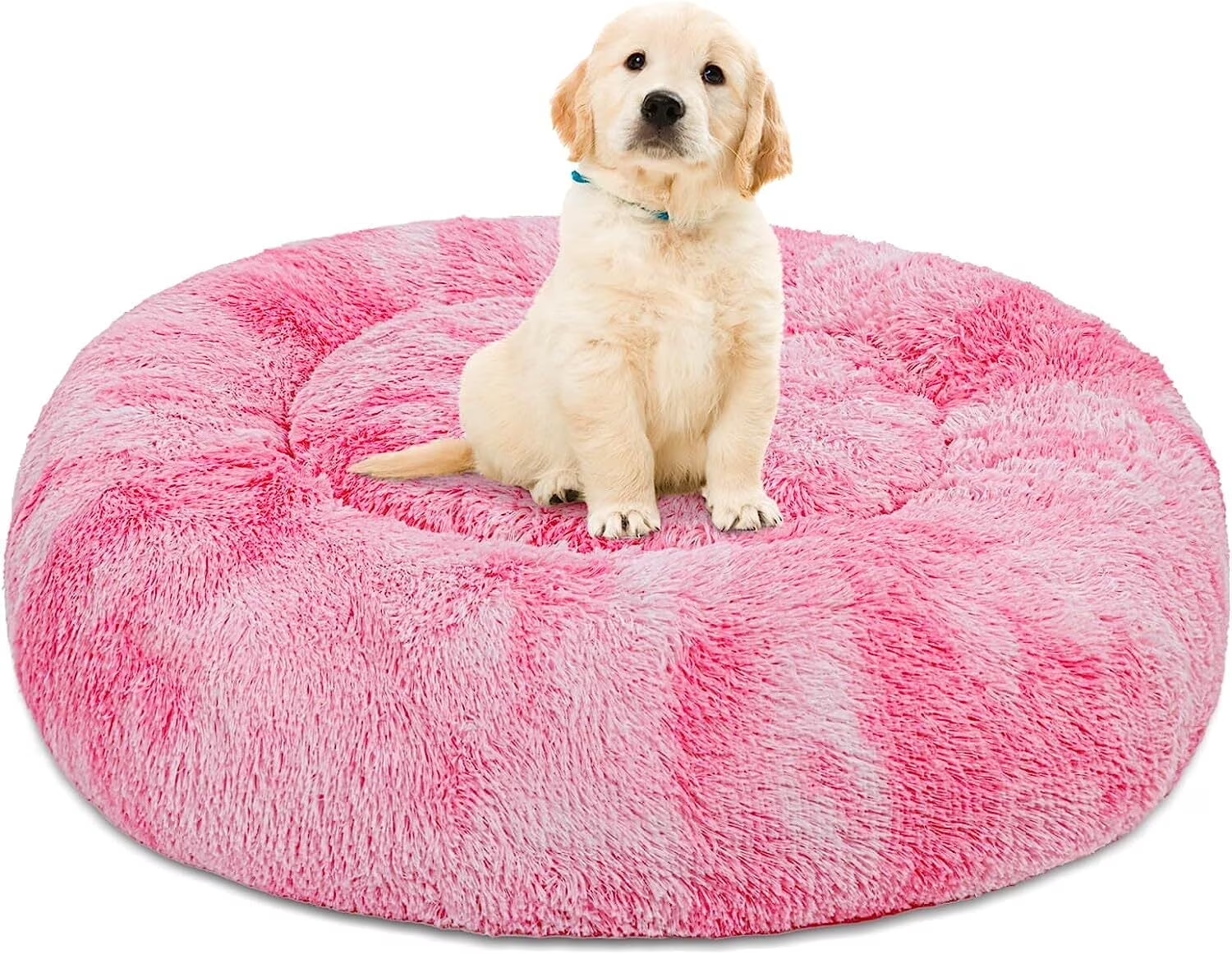 Rajah’s Cozy Donut Bed - Image 4